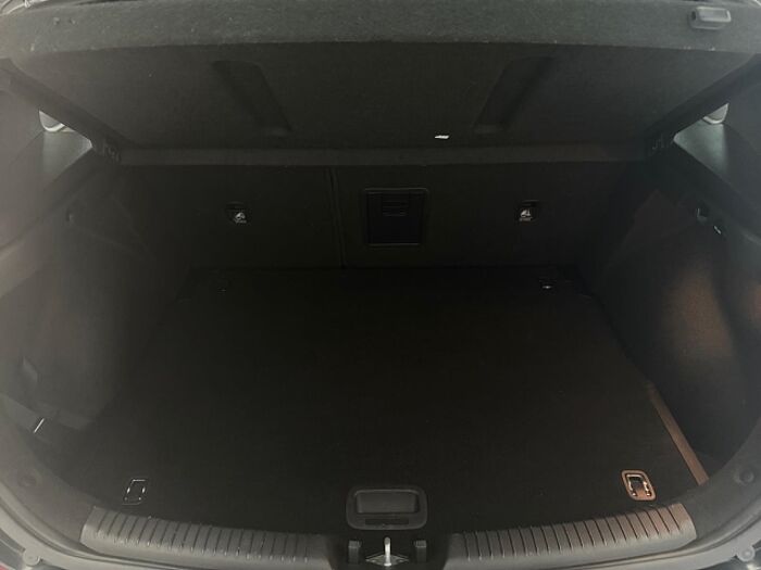 Hyundai i30 2.0 TGDI N Performance *CARPLAY*LED LICHT*