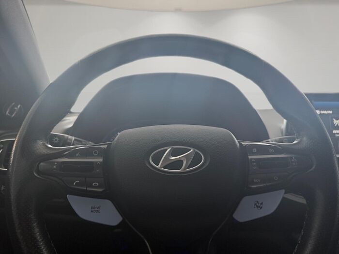 Hyundai i30 2.0 TGDI N Performance *CARPLAY*LED LICHT*
